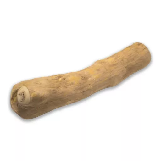 Kávéfa rágóbot L