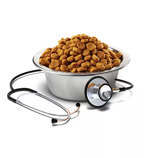 Vet Life Hypoallergenic Dog Pork & Potato 12kg